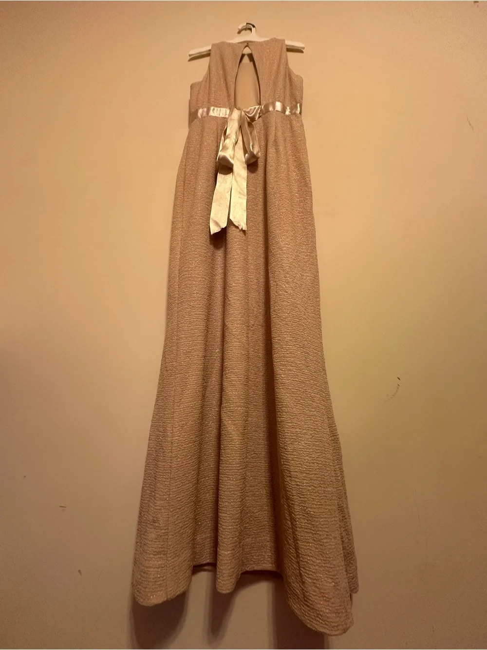 Adrianna Papell Champagne Metallic Maxi Dress Formal Evening Gown Size 6